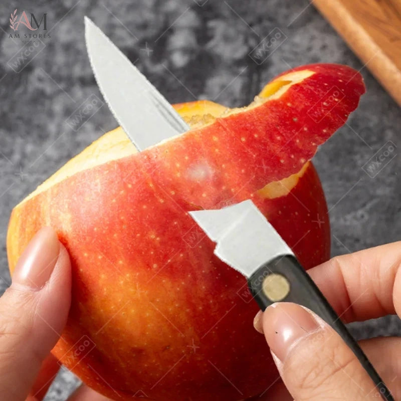 Stainless Steel Folding Fruit Knife - view 4