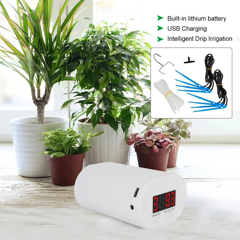 Automatic Drip-Watering Spikes for Potted Plants