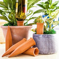 Terracotta Self-Watering Plant Stakes – 2 Pack