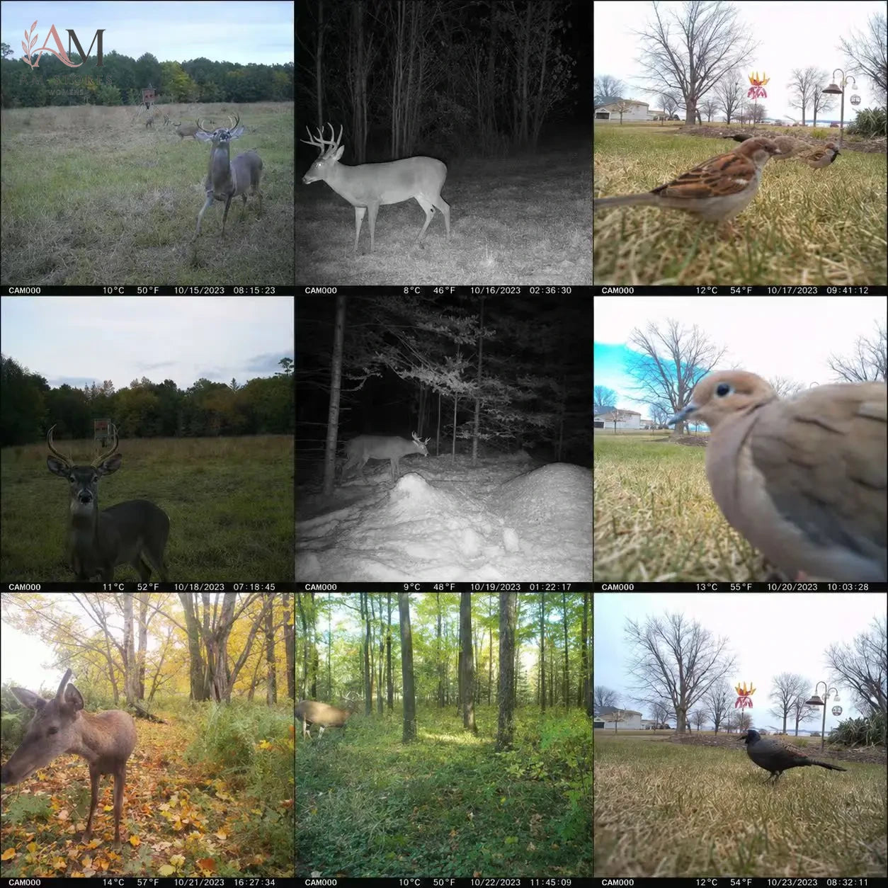 EU 4G Night Vision Trail Camera - view 6