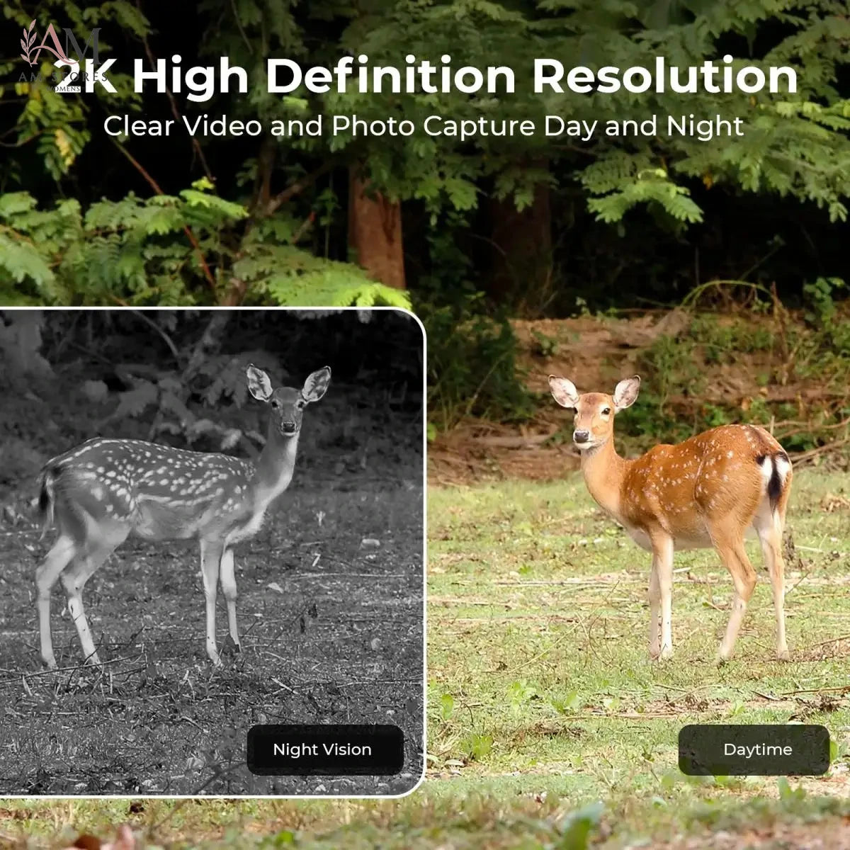 EU 4G Night Vision Trail Camera - view 3
