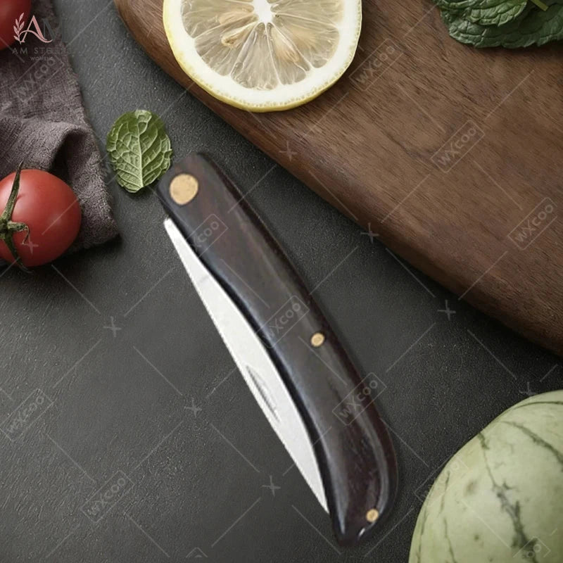 Stainless Steel Folding Fruit Knife - view 2