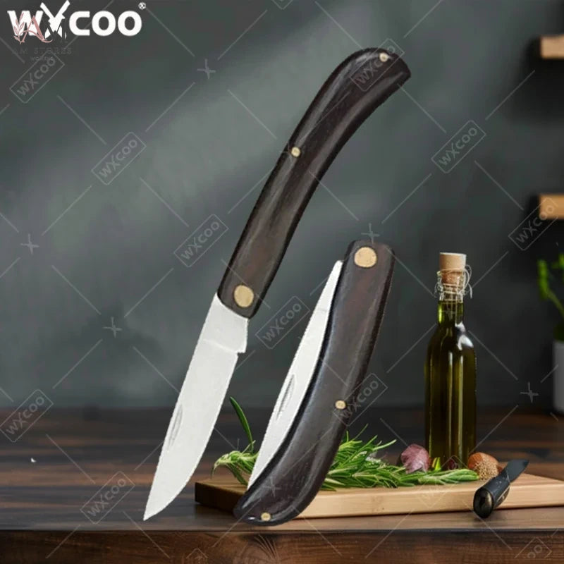 Stainless Steel Folding Fruit Knife - view 1