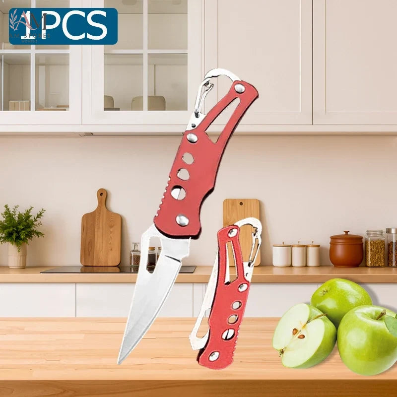 Stainless Steel Folding Fruit Knife - view 7